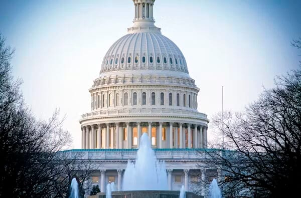 3 branches of government